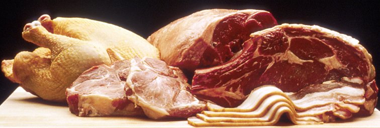 Animal source foods