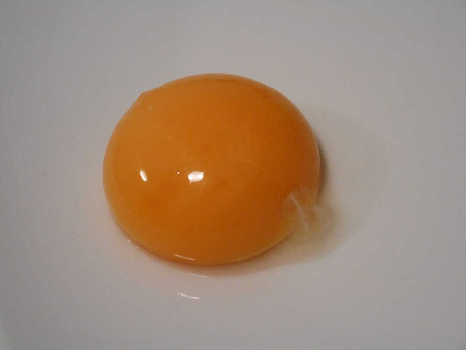 1. Chicken egg yolk
