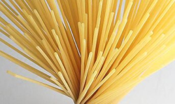 Spaghetti 🇮🇹 🇸🇲 🇻🇦