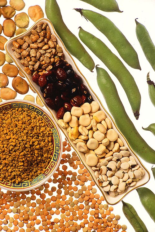 Legumes