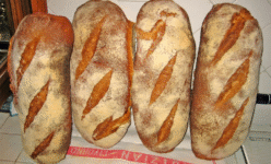 Tuscan Bread PDO (Pane Toscano DOP) 🇮🇹