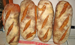 Tuscan Bread PDO (Pane Toscano DOP) 🇮🇹