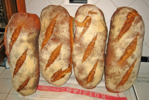 Tuscan Bread