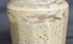 Sourdough starter 🌍