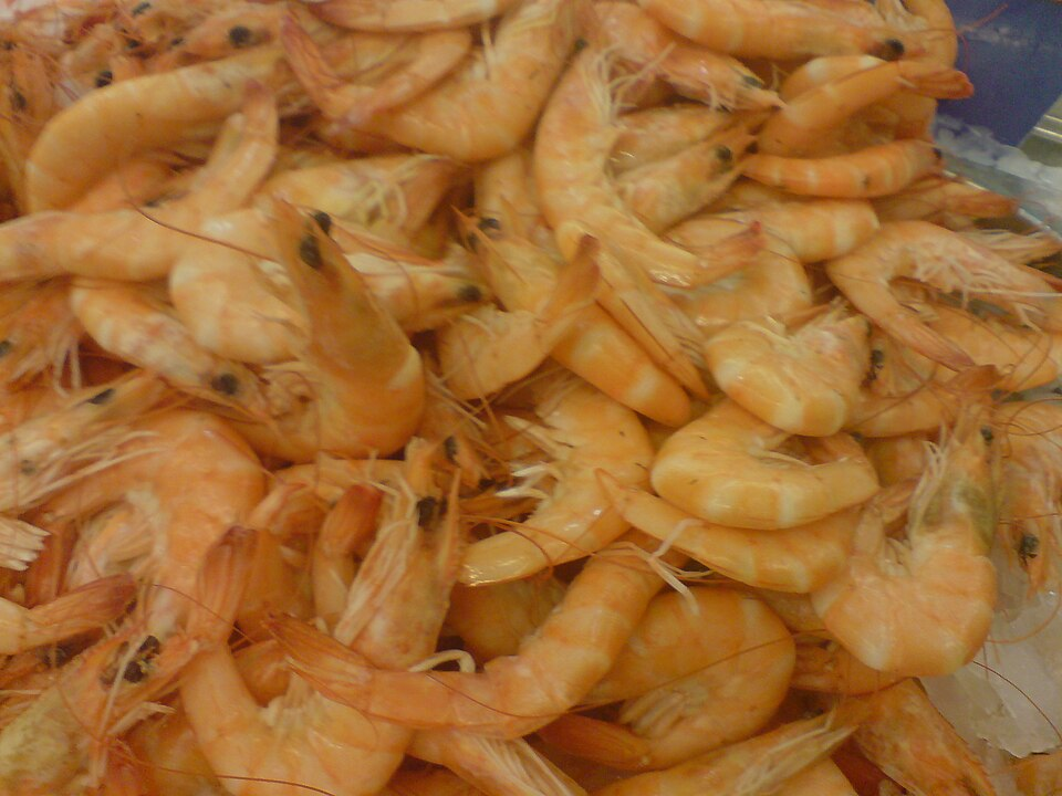 2. Common shrimp/brown shrimp/bay shrimp/sand shrimp