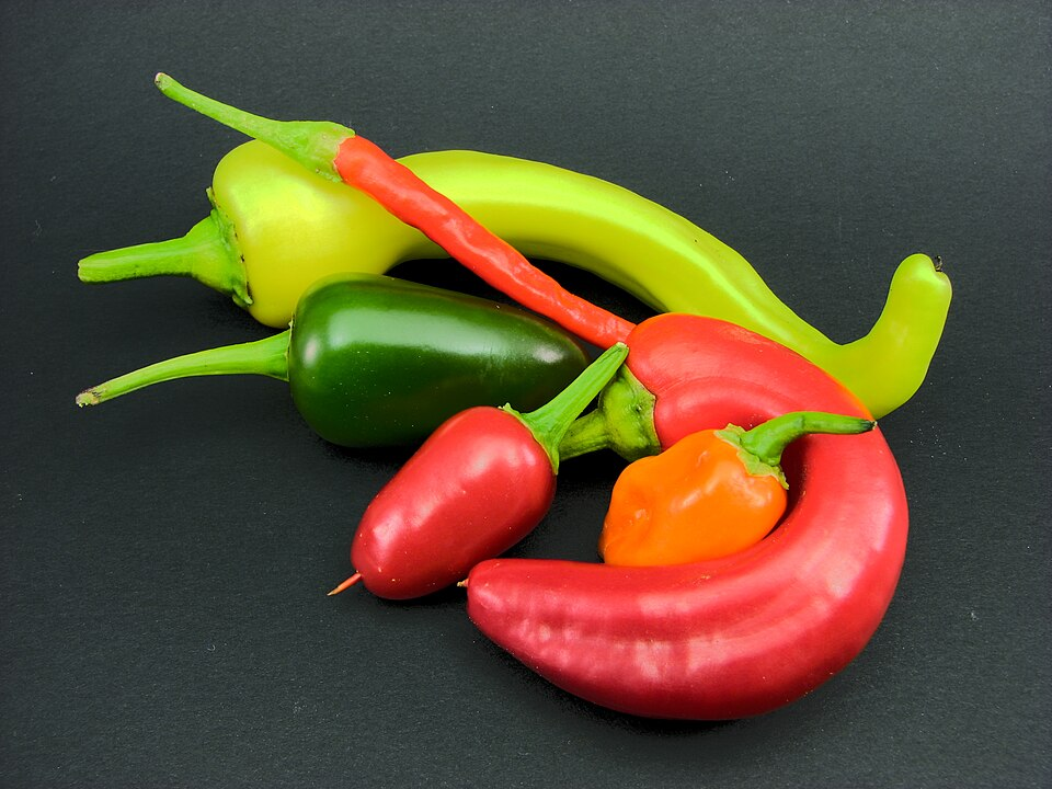 Hot chili peppers, Caspicum