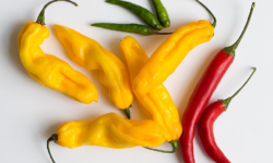Chili peppers