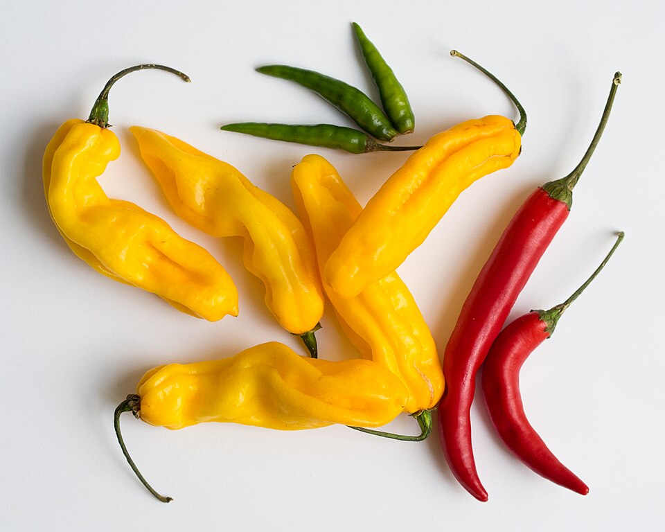 1. Chili peppers
