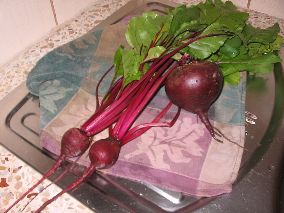 1. Beetroot, Betoideae