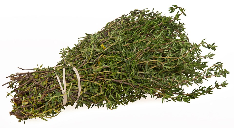 2. Common thyme bundle