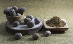 Common nutmeg