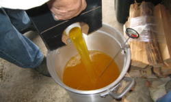 Peanut oil