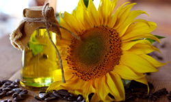 Refined sunflowerseed oil