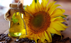 Refined sunflowerseed oil
