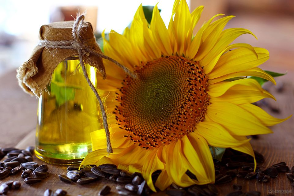 1. Refined sunflowerseed oil